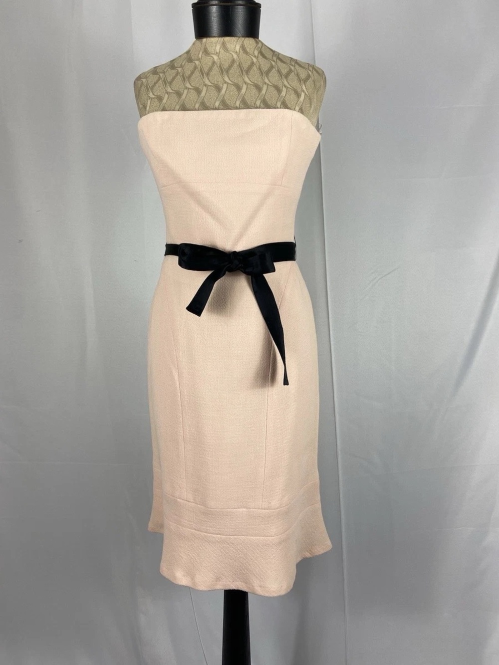 Lida Baday Bustier Dress Petal Color Size 4 NWT Formal